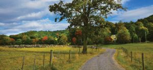 Country Road